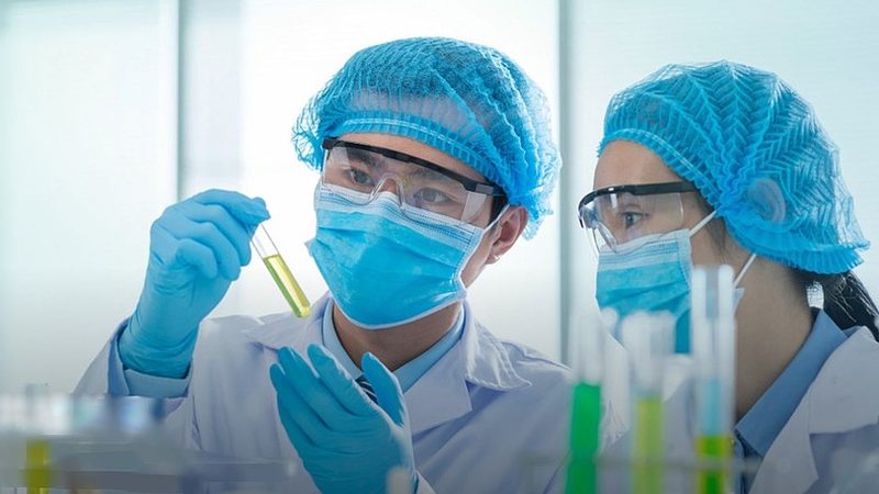 药品经营许可证：经营范围与批发企业规定解析