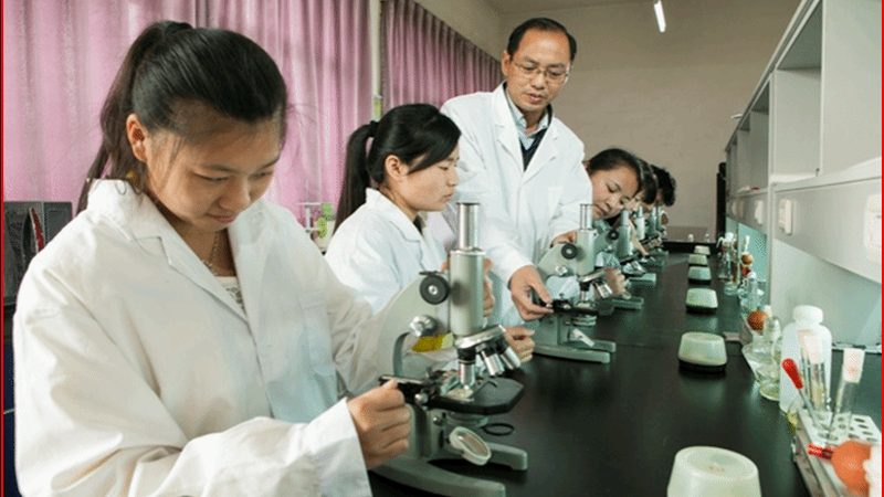 代工合同质量责任条款：如何制定与执行