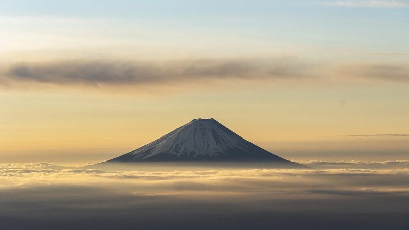 亳州药材市场行情探析：把握趋势，明智投资**