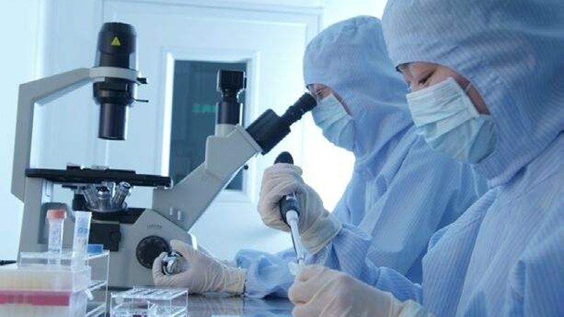 中药提取物车间GMP改造，如何确保合规与高效？**