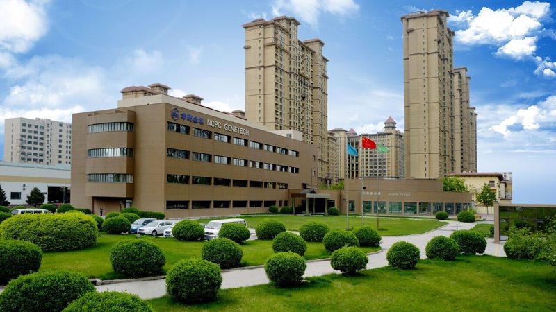 医药中间体质量标准规范：守护药品安全的基石